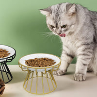 Whisker-Friendly Anti-Vomit Cat Plate,Cat Bowl-Raised Cat Food Bowl,Elevated Cat Feeder Bowl with Metal Stand,Ceramic Shallow Cat Dish,Anti Vomiting Cat Bowls (Gold Base with Fishbone Plate)