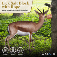 UMAID Himalayan Salt Lick 6 lbs On Rope for Horse, Deer, Goat, and Livestock Animals - Himalayan Salt Block 1 Pack