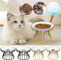 Whisker-Friendly Anti-Vomit Cat Plate,Cat Bowl-Raised Cat Food Bowl,Elevated Cat Feeder Bowl with Metal Stand,Ceramic Shallow Cat Dish,Anti Vomiting Cat Bowls (Gold Base with Fishbone Plate)