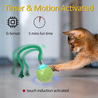 Interactive Cat Ball Toy,Motion Activated Automatic Moving Ball Toy with Long Tail Teaser/Simulation Bird Sound/USB Rechargeable Cat Toys Self Play
